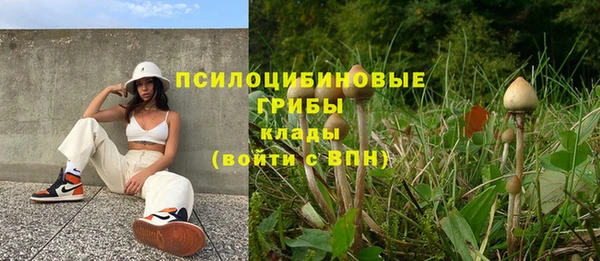 соль курить ск Зерноград