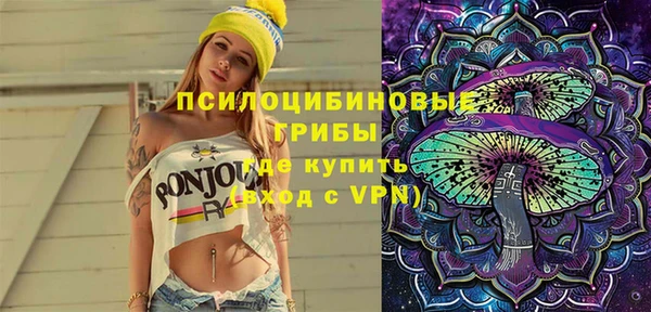 2c-b Инта