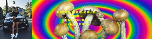 2c-b Инта