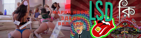 mix Зеленокумск