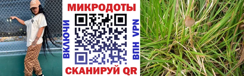 Купить закладки Кирово-Чепецк Галлюциногенные грибы ЛСД