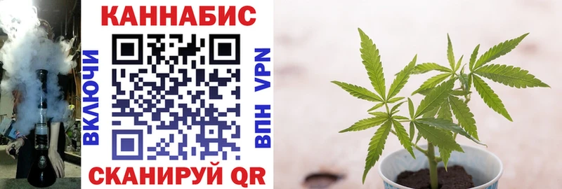 Купить где  Кирово-Чепецк  Канабис тримм 
